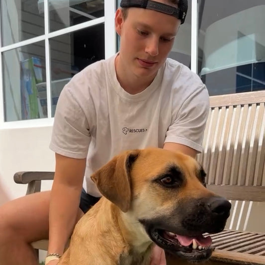 Our Trip To Miami Animal Shelters