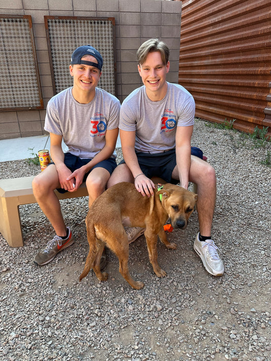 Our 30 Shelters In 30 Days Experience