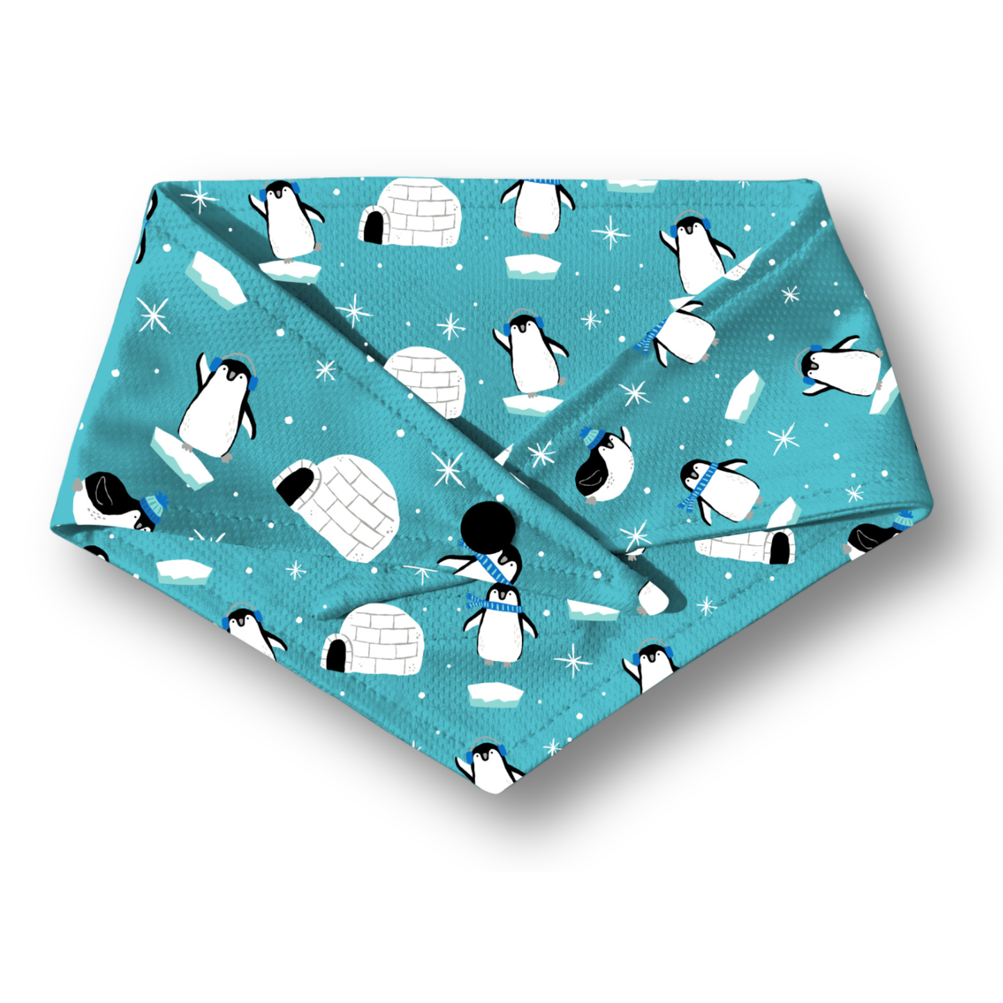 Winter Wonderland (Pre-Order 2 Weeks)