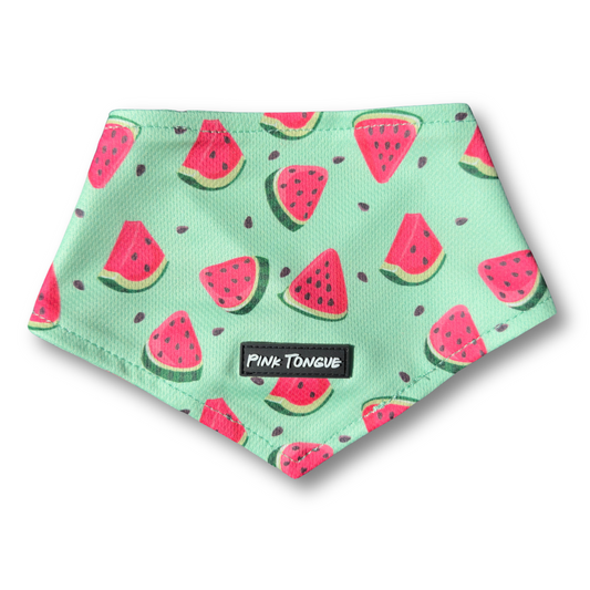 A vibrant and refreshing dog bandana featuring a playful watermelon print, perfect for summer adventures. Lightweight and comfortable, it’s ideal for poolside lounging, farmer’s market strolls, or sunny day outings. Designed for a secure and adjustable fit—tie it, button it, or do both for the perfect look!