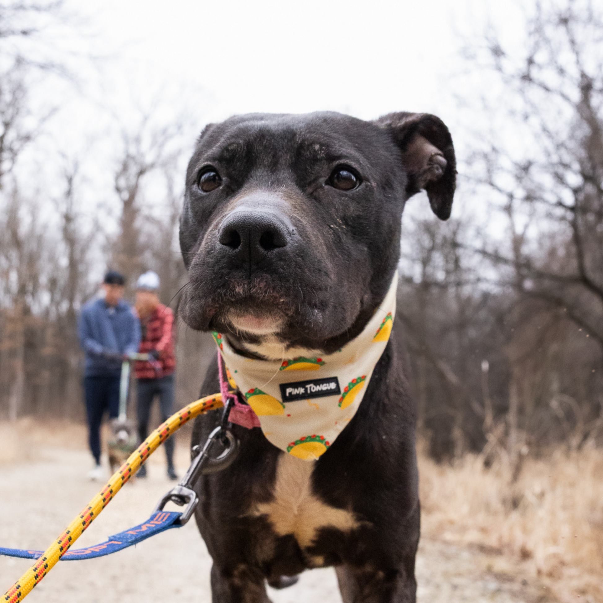 A fun and festive dog bandana featuring a colorful taco print, perfect for pups who love to celebrate Taco Tuesday in style. Designed for comfort and versatility, it can be tied, buttoned, or both for a secure and adjustable fit. Great for food-loving dogs, parties, or casual outings with a playful twist!