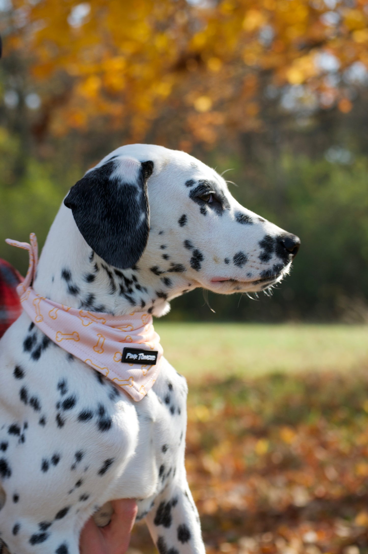 A set of three stylish dog bandanas in versatile designs, perfect for any occasion. Adjustable with tie and button options for a secure and comfortable fit.