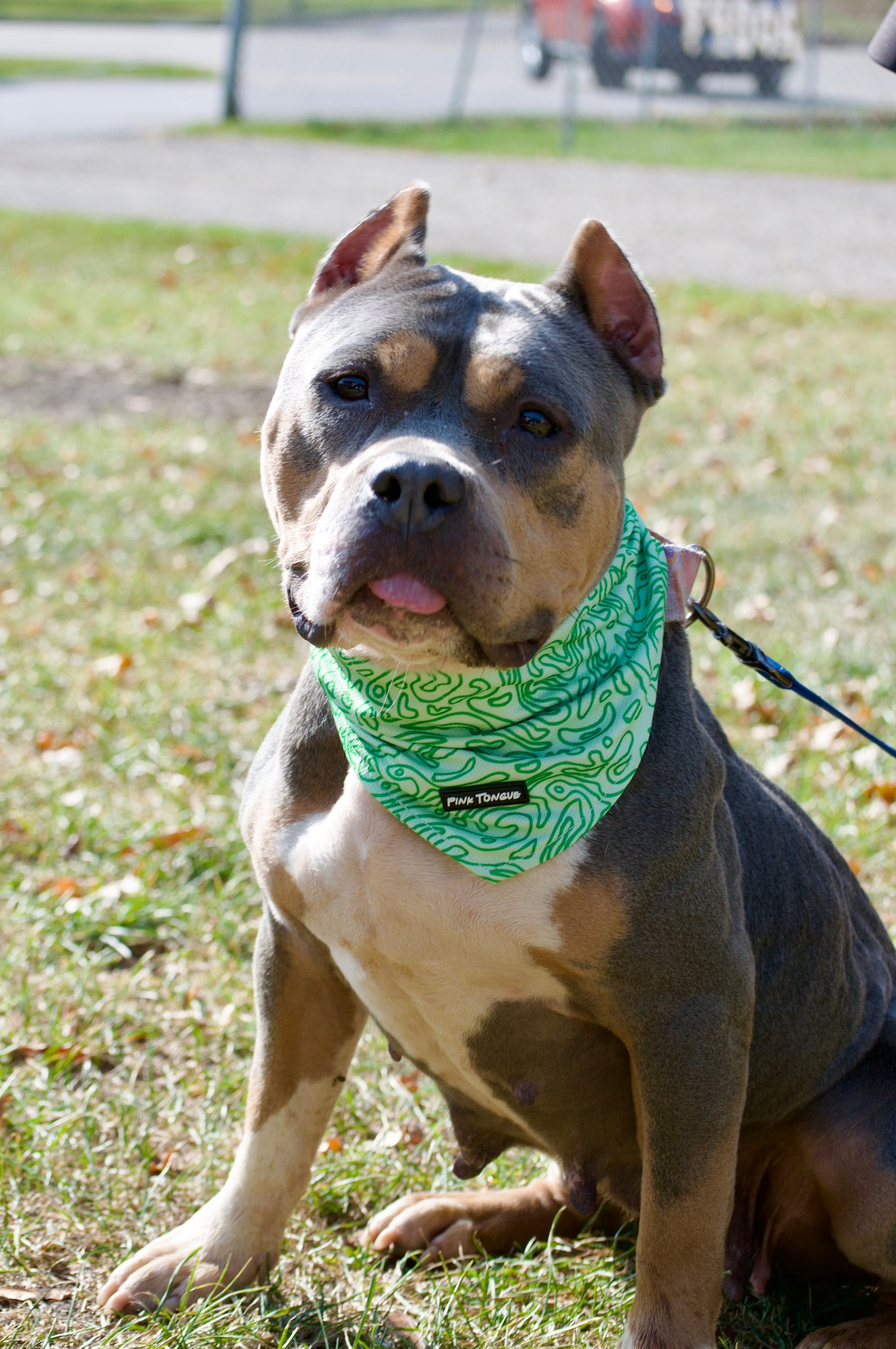 A stylish green dog bandana featuring a topographic map design. Adjustable with tie and button options for a secure and comfortable fit—perfect for adventure-loving pups!