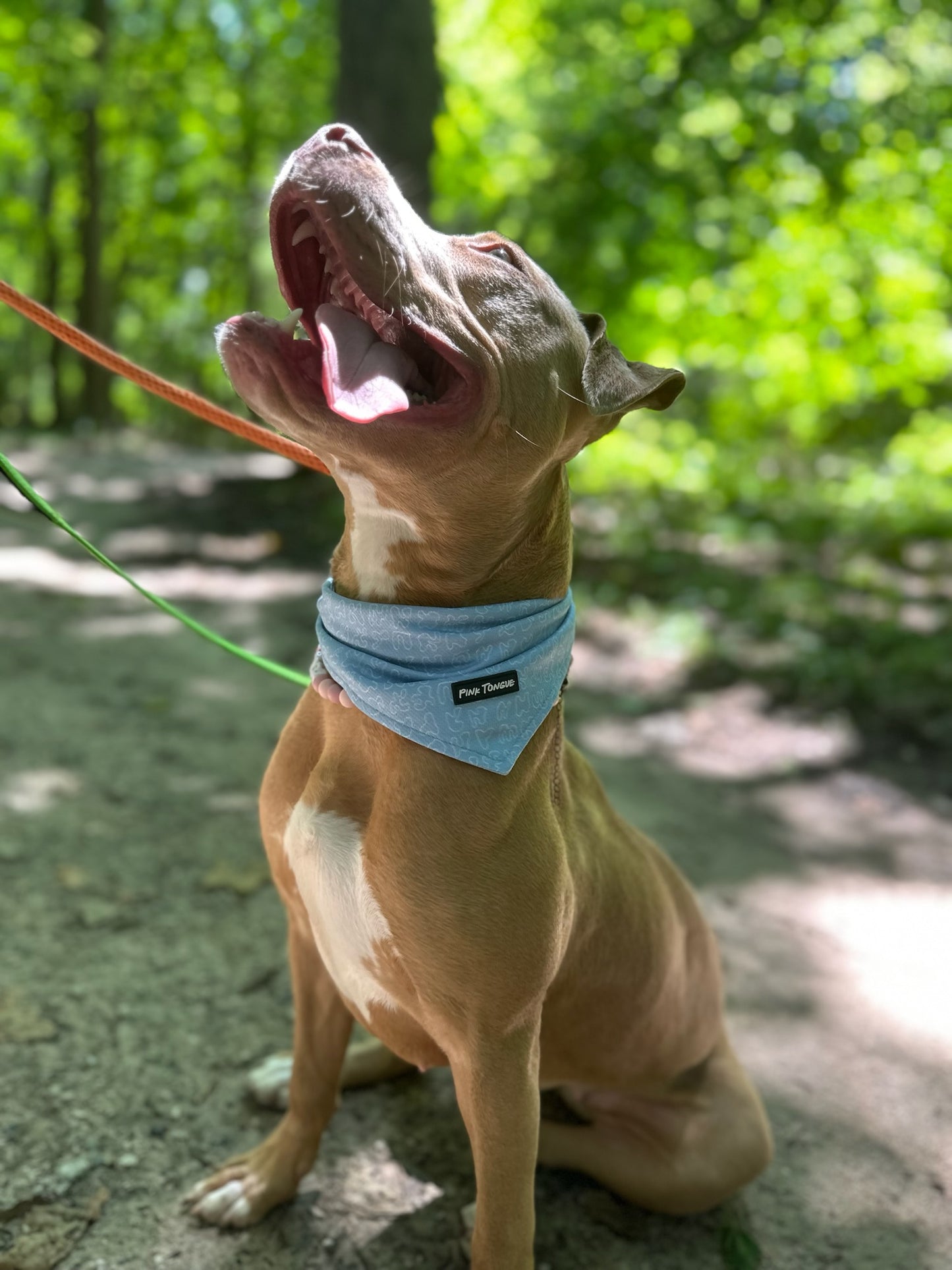 A classic blue dog bandana with a timeless design, perfect for any occasion. Adjustable with tie and button options for a secure and comfortable fit.