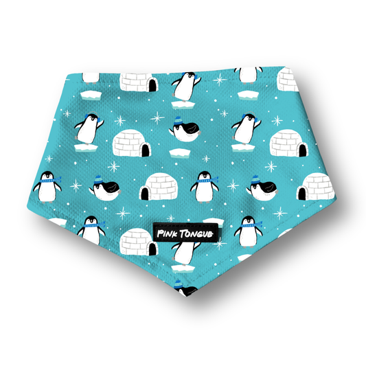 Winter Wonderland (Pre-Order 2 Weeks)