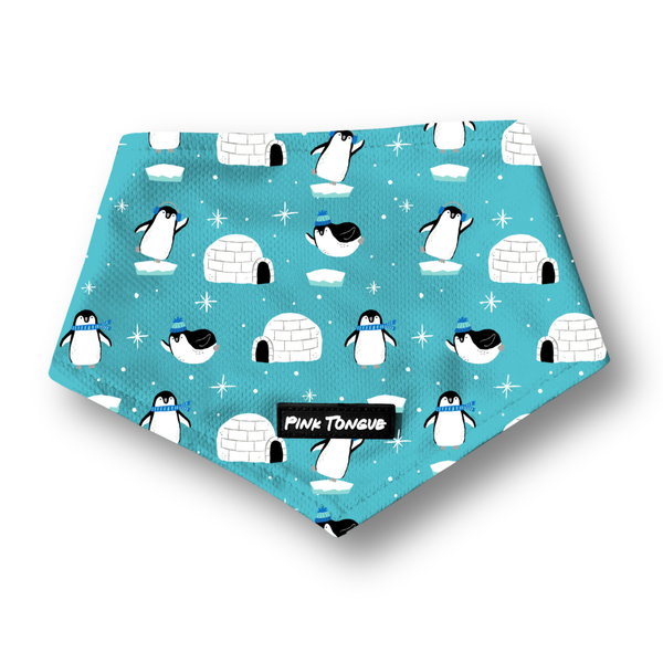 Winter Wonderland (Pre-Order 2 Weeks)