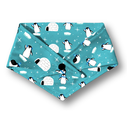 Winter Wonderland (Pre-Order 2 Weeks)