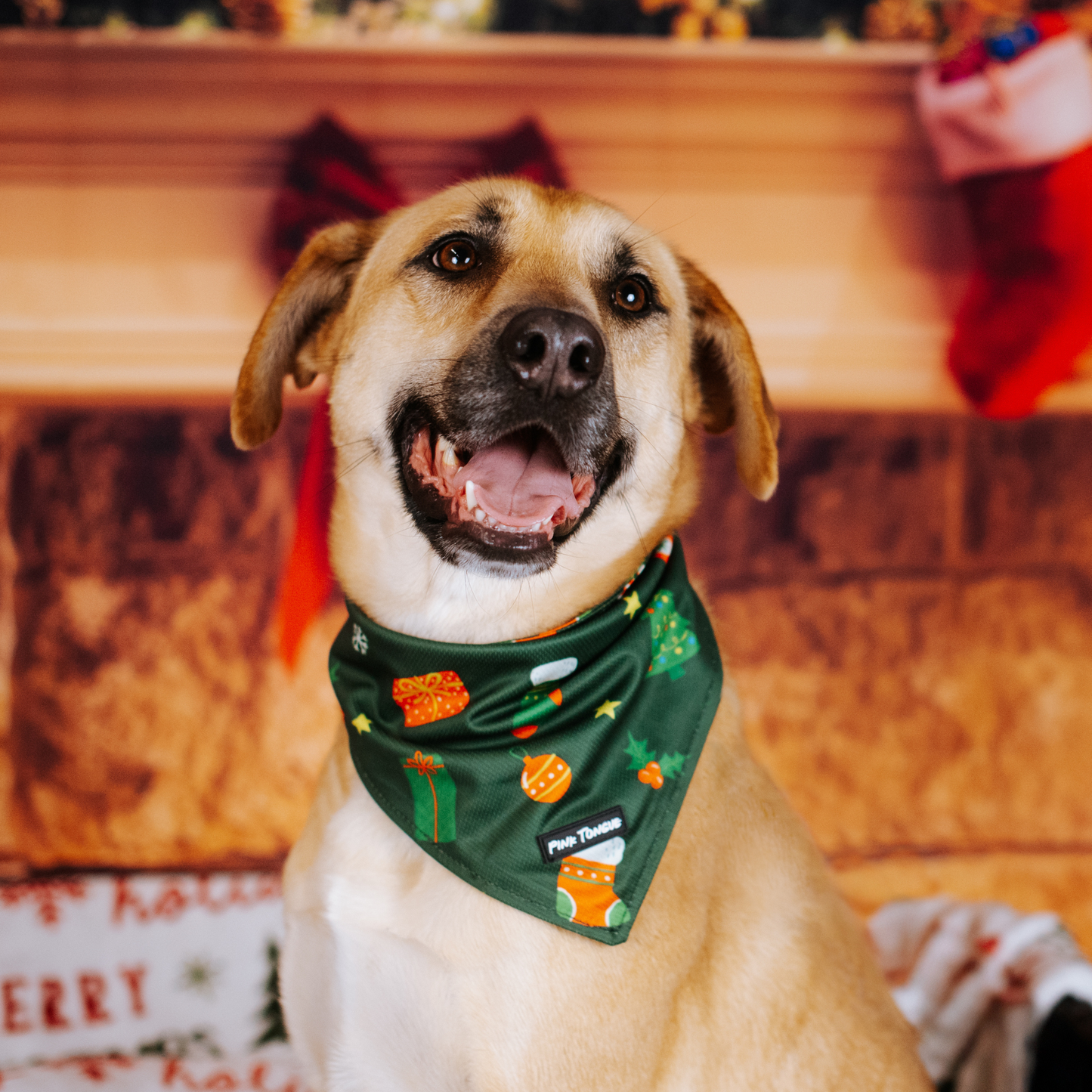 The Stocking Stuffer