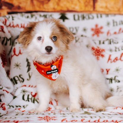 Santas Little Helper