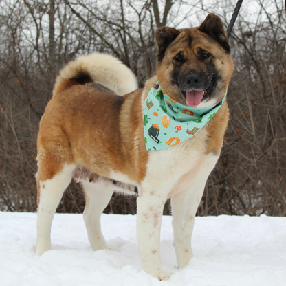 Loads Of Luck - LIMITED