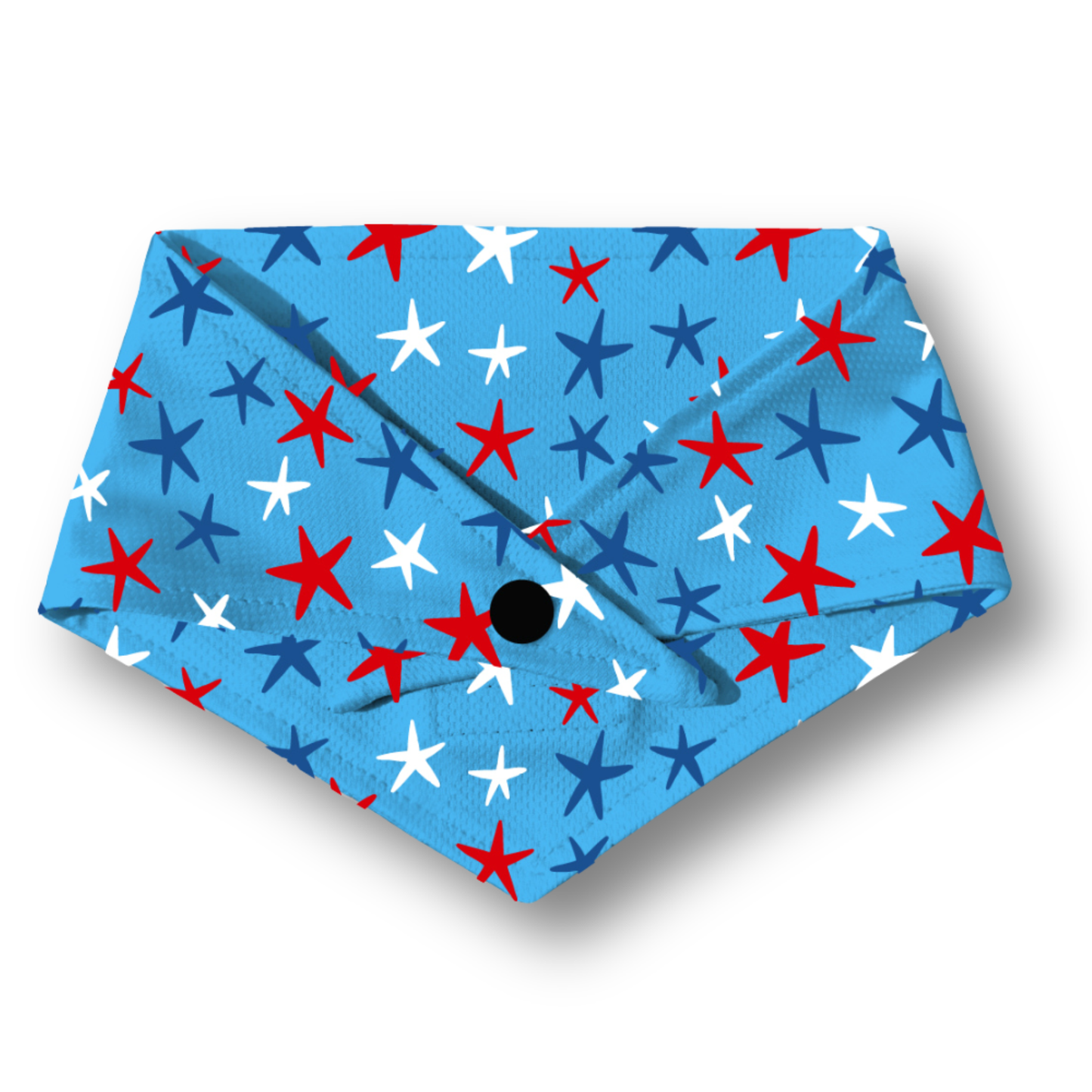 The Liberty Star