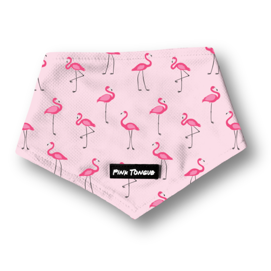 The Flamingo