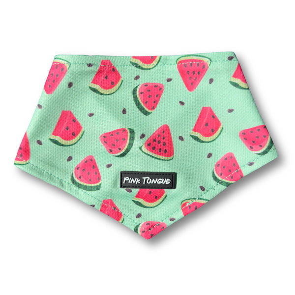  A vibrant and refreshing dog bandana featuring a playful watermelon print, perfect for summer adventures. Lightweight and comfortable, it’s ideal for poolside lounging, farmer’s market strolls, or sunny day outings. Designed for a secure and adjustable fit—tie it, button it, or do both for the perfect look! 