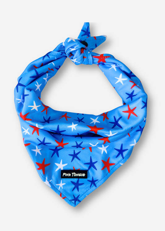 The Liberty Star