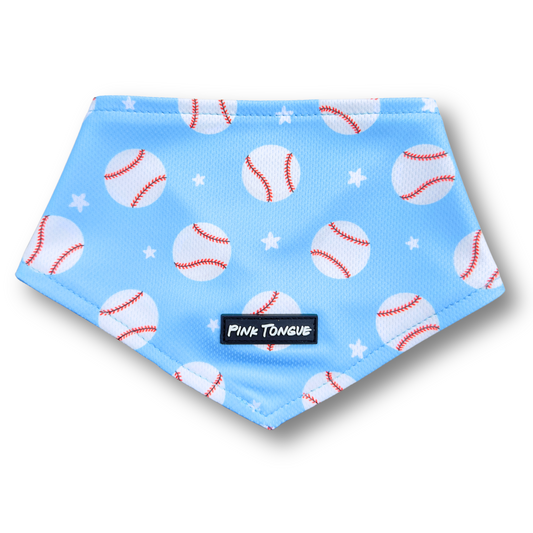NEW - The Baseball Lover