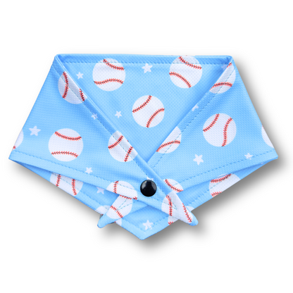 NEW - The Baseball Lover