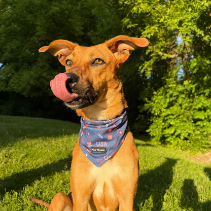 The Patriotic Pup
