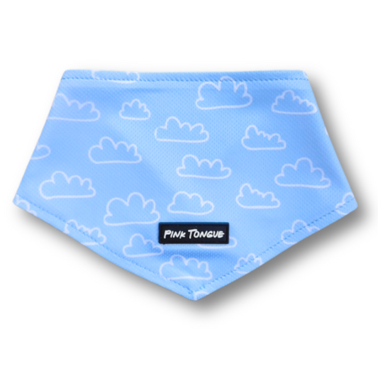 NEW - The Cloud Chaser