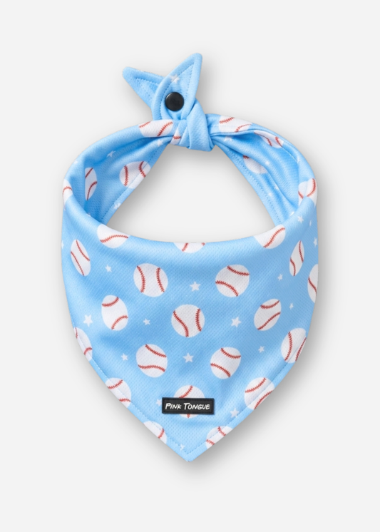 (RESTOCKED) The Baseball Lover
