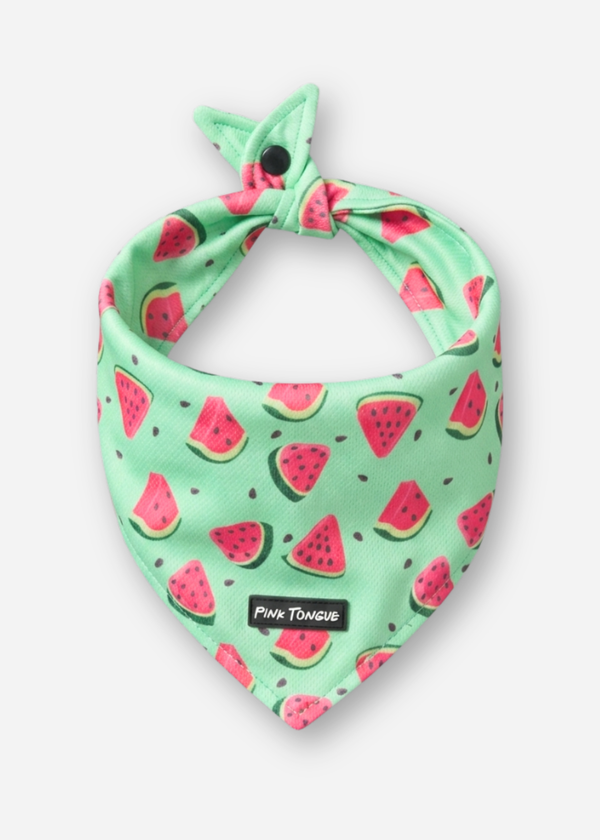 The Watermelon