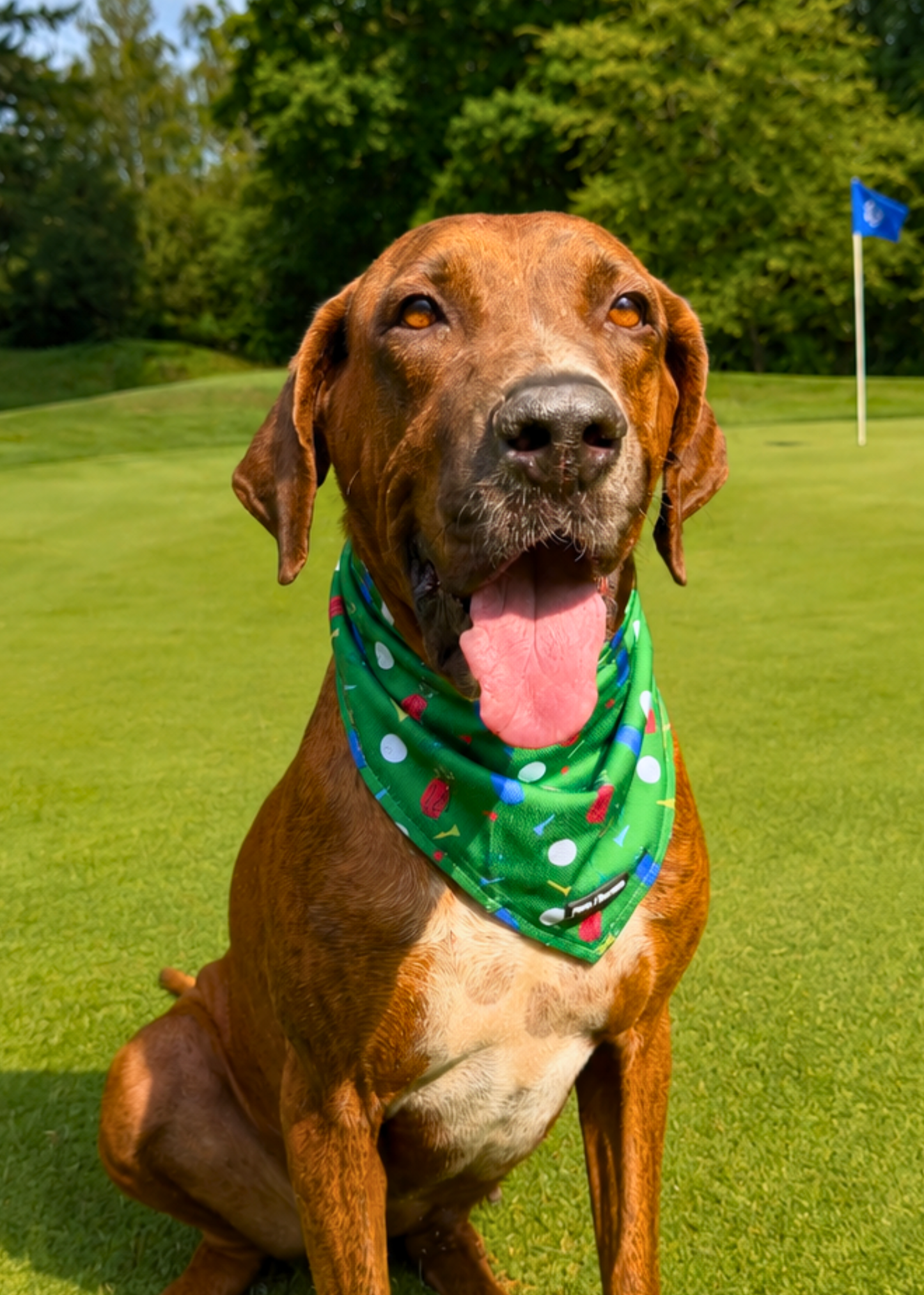 (NEW) The Ruff Round