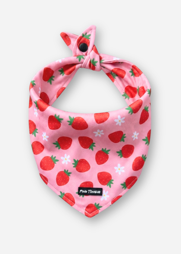 The Strawberries