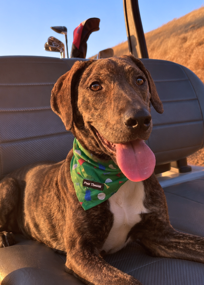 (NEW) The Ruff Round