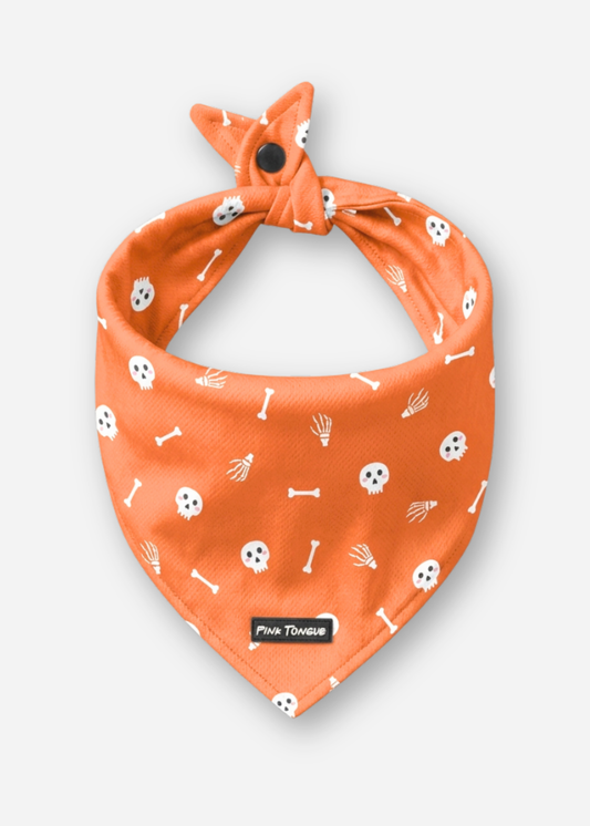 (LIMITED) The Bone Yard