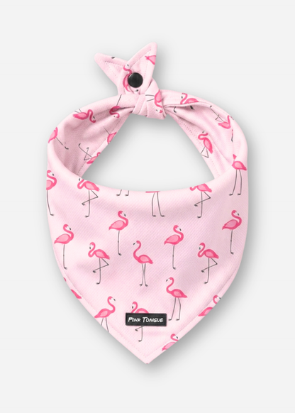 The Pretty In Pink - 3 Pack