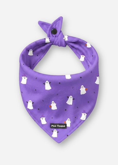 Halloween Bundle - 3 Pack