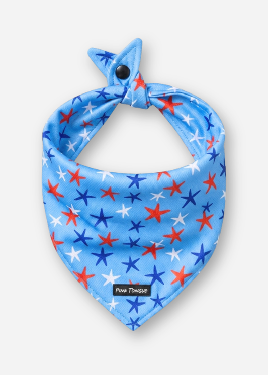 The Liberty Star