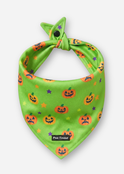 (LIMITED) The Pumpkin Patch Pup