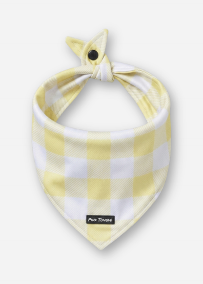 (NEW) Farmhouse Gingham