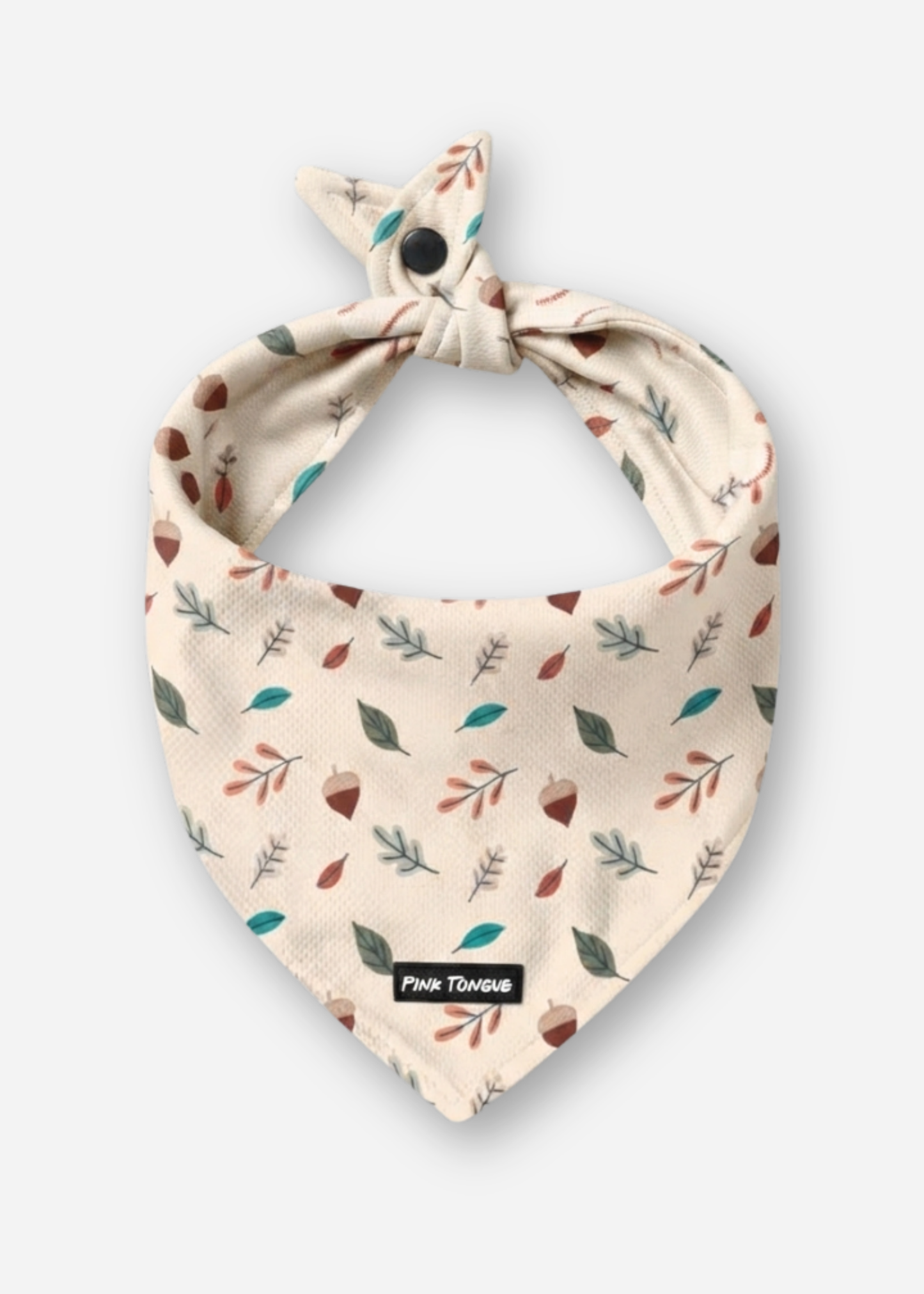 (NEW) The Squirrel Chaser