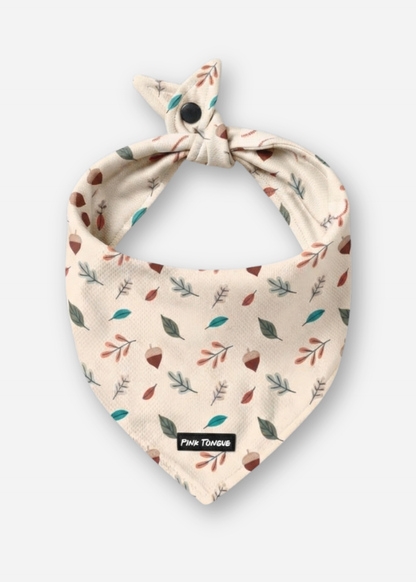 (NEW) The Squirrel Chaser