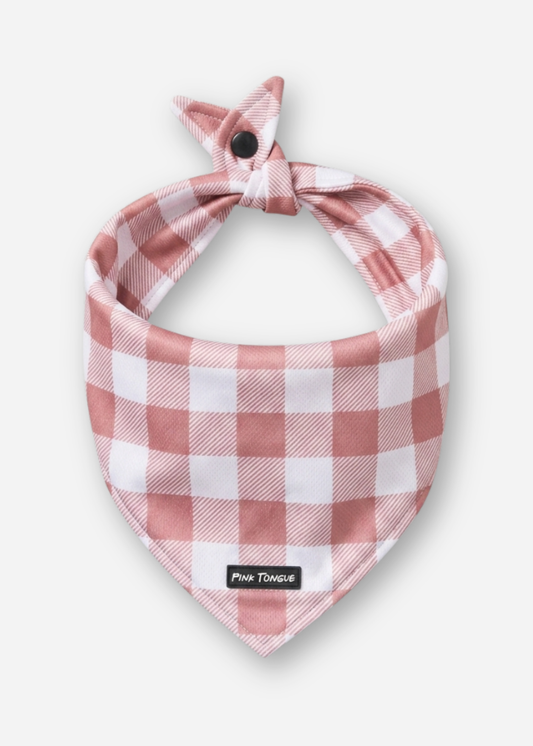 (NEW) Farmhouse Gingham