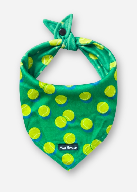 (NEW) The 'Go Fetch'