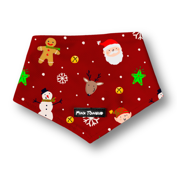 Santas Little Helper (Pre-Order 2 Weeks)