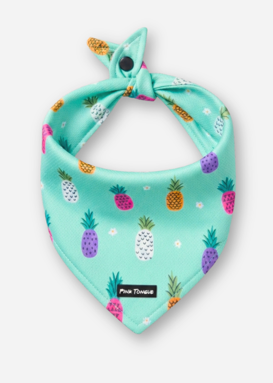 The Pineapple