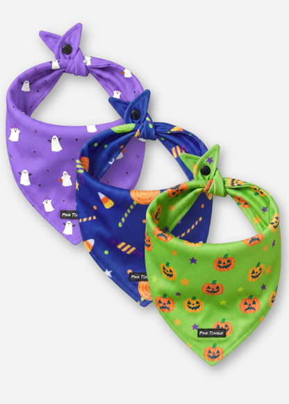 Halloween Bundle - 3 Pack
