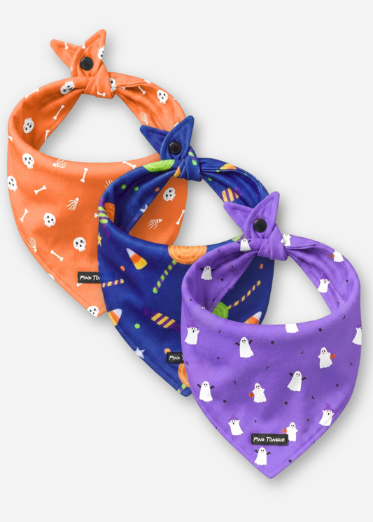 Halloween 3-pack of Pink Tongue snap-button dog bandanas: The Bone Yard, The Candy Crossing and The Phantom Friend