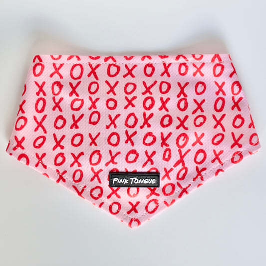 XO's Dog Bandana