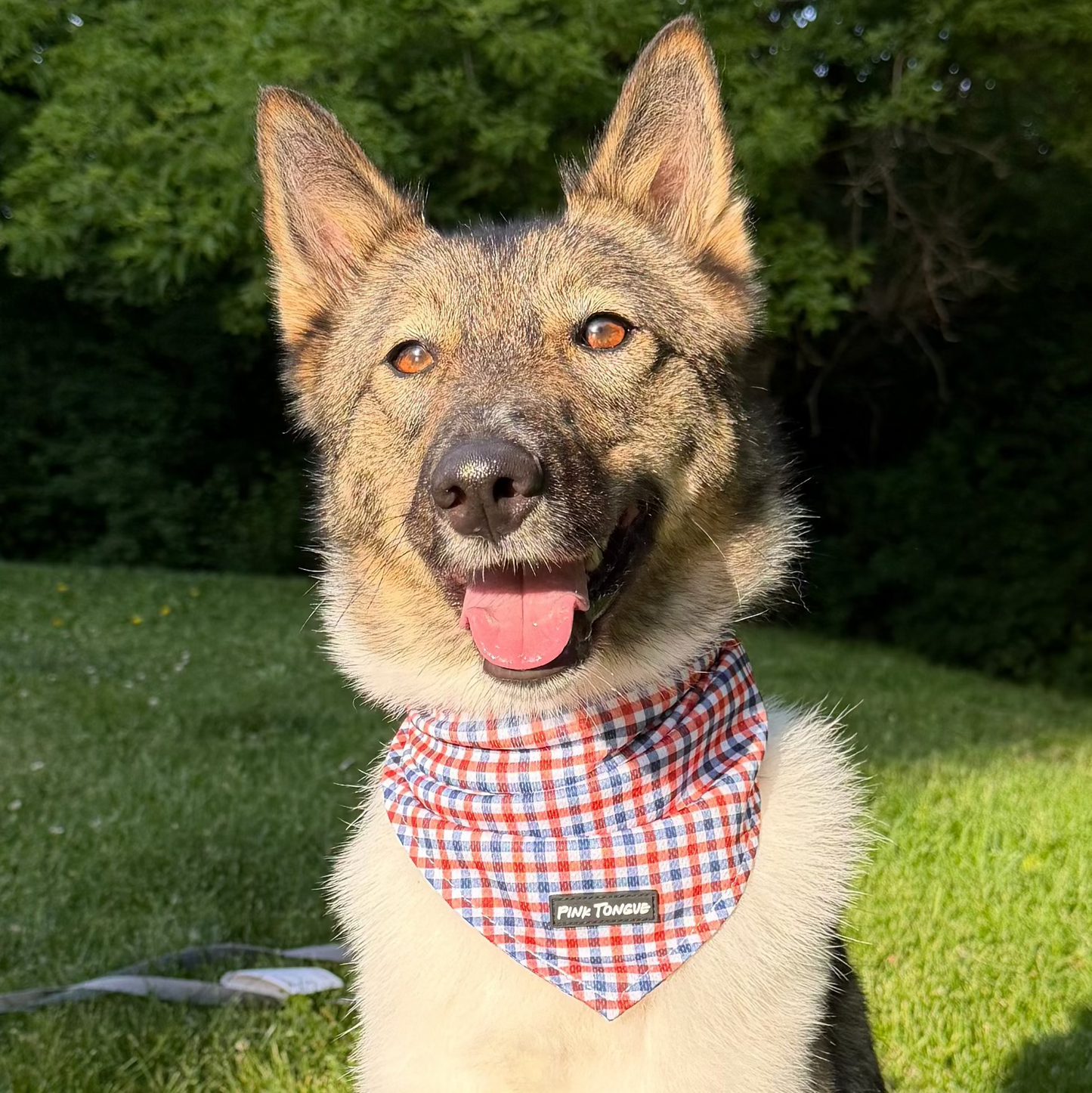 The All-American Plaid