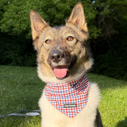 The All-American Plaid