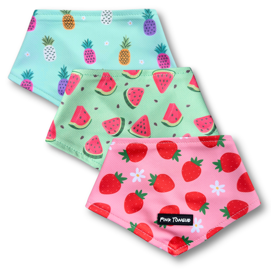 Fruit Frenzy Bundle - 3 Pack