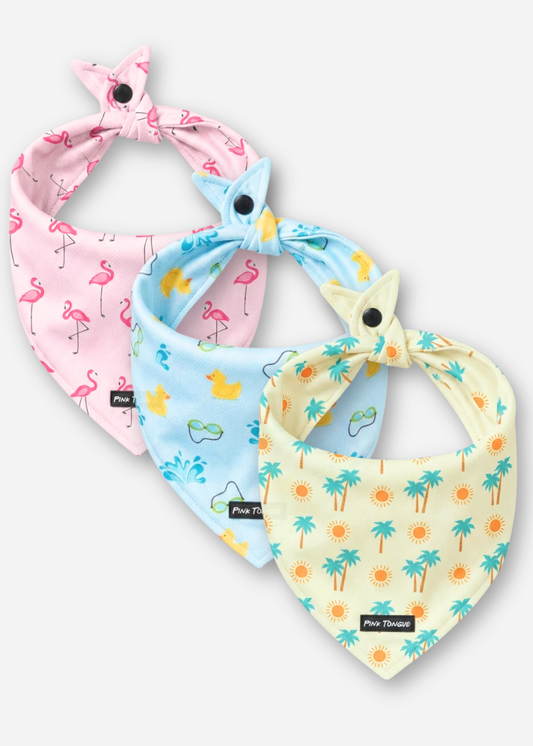 The Summer Vibes Bundle - 3 Pack
